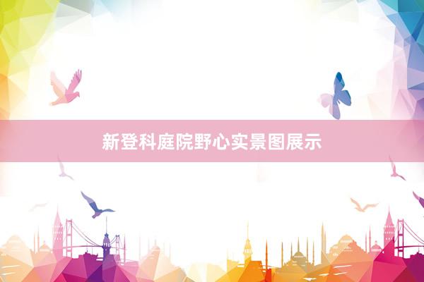 新登科庭院野心实景图展示